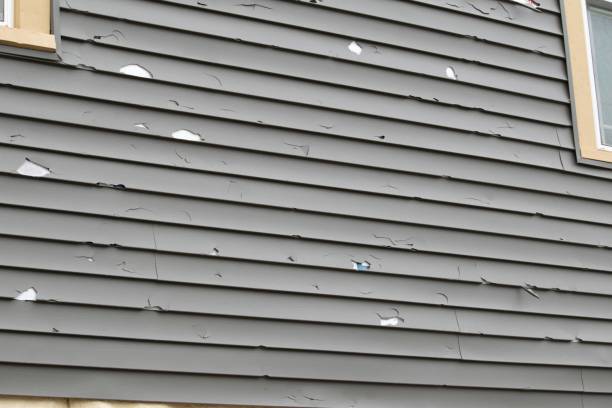 Best Fascia and Soffit Installation  in Taylorsville, MS